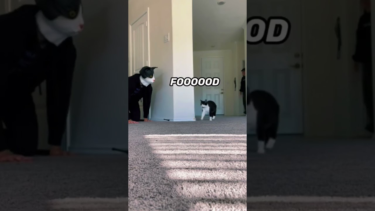Cat Mask Vs Cat☠️😂