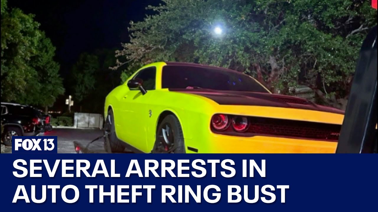 Multiple arrests in suspected auto theft ring