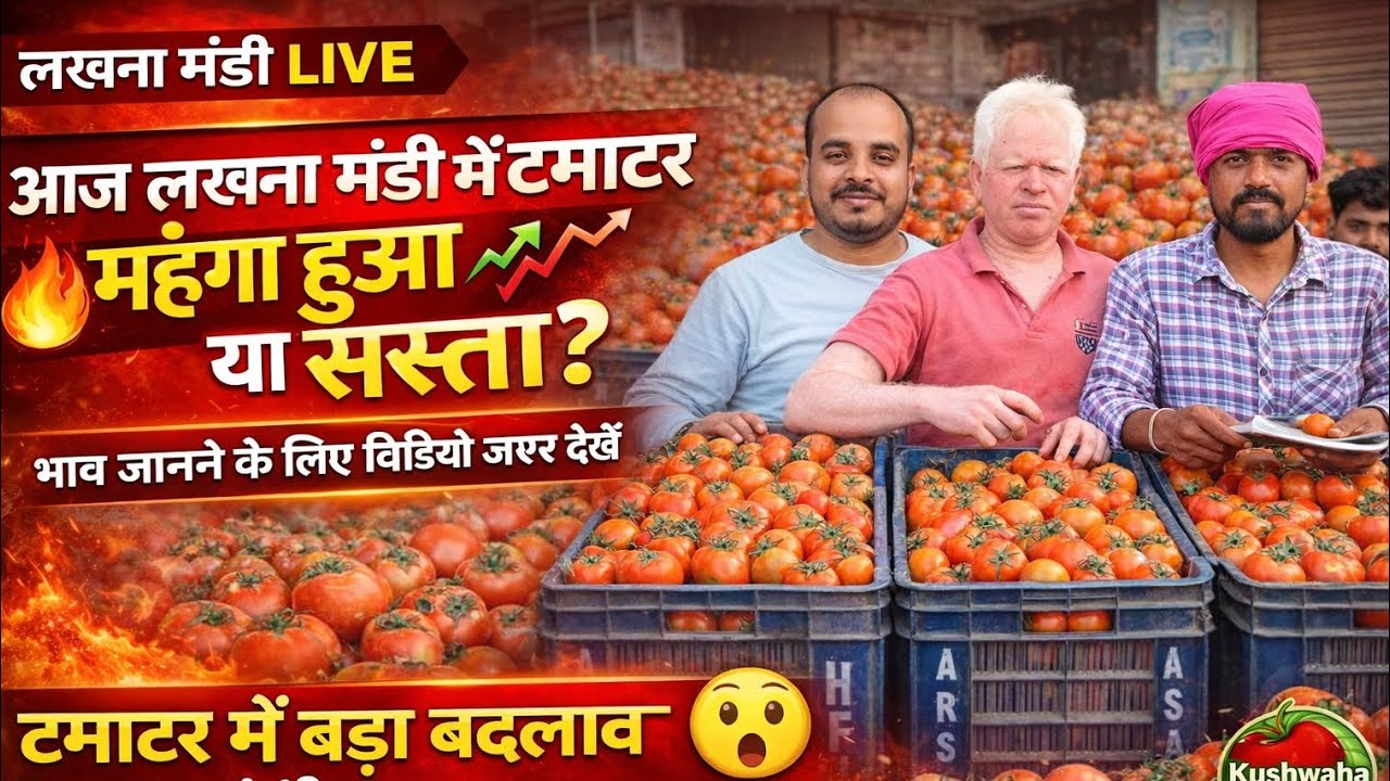आज लखना मंडी में टमाटर मंहगा या सस्ता रहा पूरा भाव जाने !👍#Bharat ke Bazar