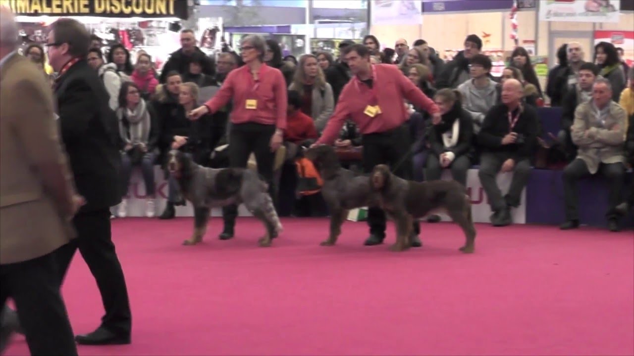 CGA 2016 Finale des races à faible effectif