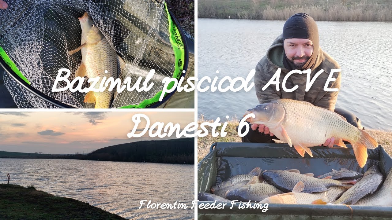 Pescuit de Weekend la Method Feeder pe Bazinul piscicol ACVE Dănești 6  #fishing #feederromania