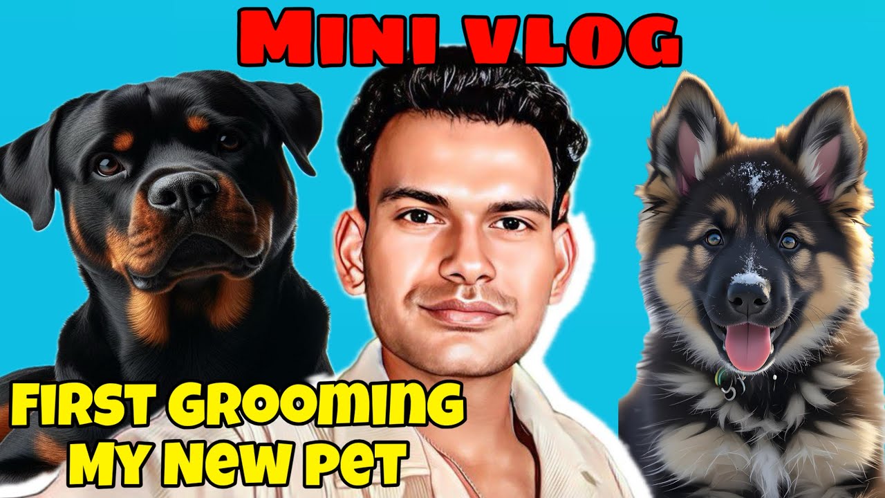 First grooming my new pet #trending #vairalvideo #jarmansafeddog#rottweiler #minivlog#dailylifevlog 