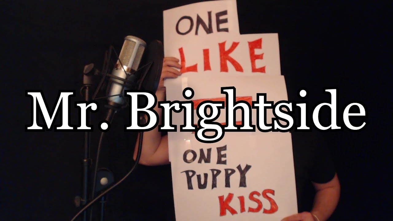 Mr. Brightside (