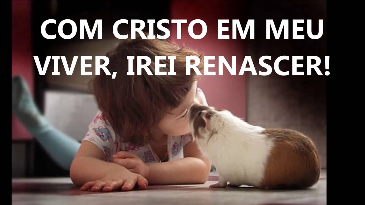 COMO UMA CRIAN&Ccedil;A