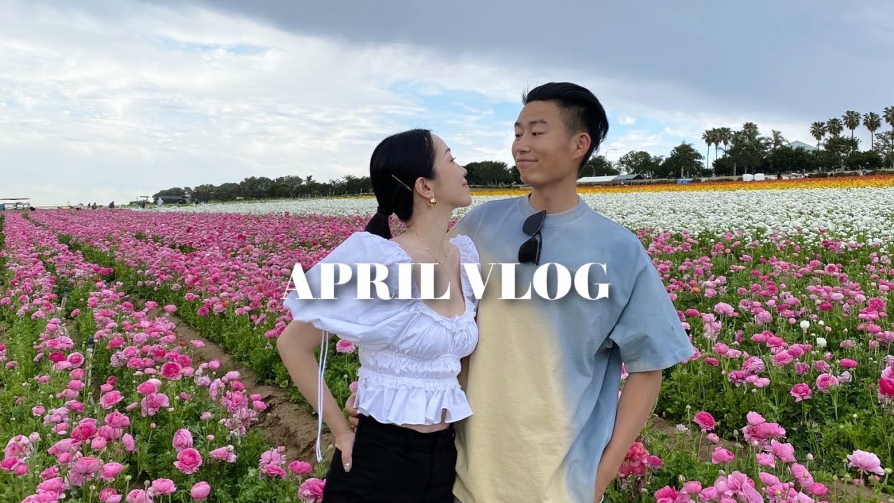 APRIL VLOG | 天气暖和啦｜去花海｜吸油烟机换新｜牛腩面｜