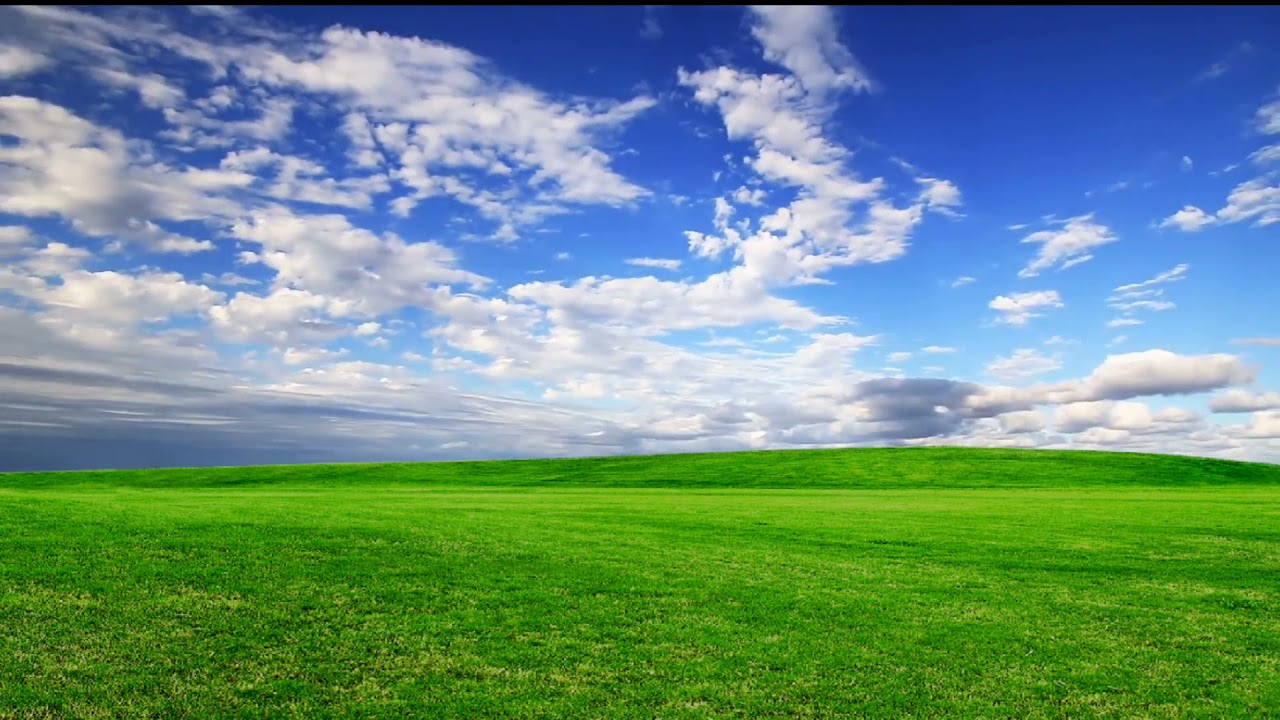 Green Grass With Blue Sky Royalty Free Background Video || Garden With Blue Sky BG Video || VFX ||