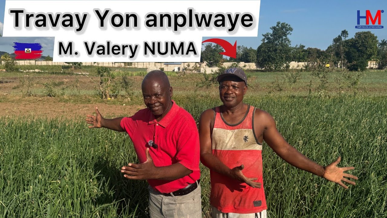 Yon employee  Mr Valéry Numa choke nou ak paròl sa yo 🇭🇹 le recul 
