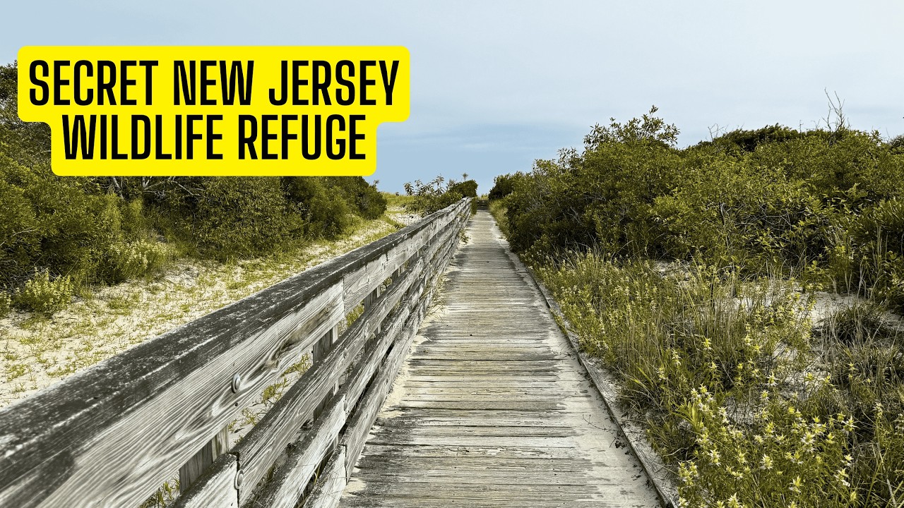 Visiting The Cape May National Wildlife Refuge