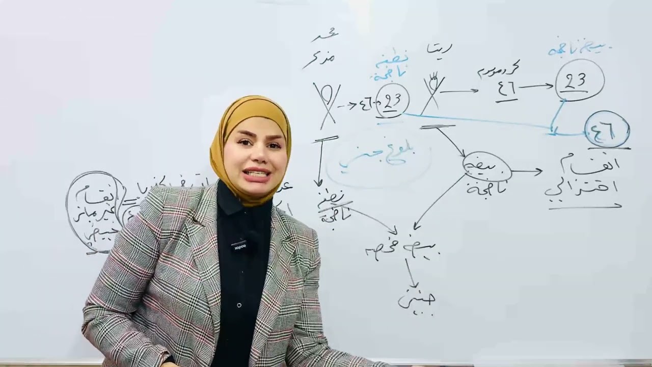 الانقسام الاختزالي الطور التمهيدي الاول