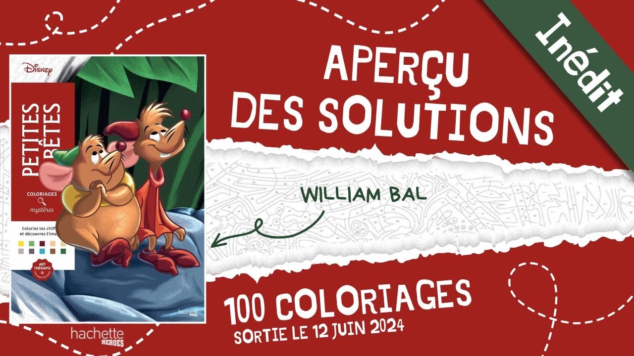 Petites Bêtes - coloriages mystères Hachette Heroes - APERCU