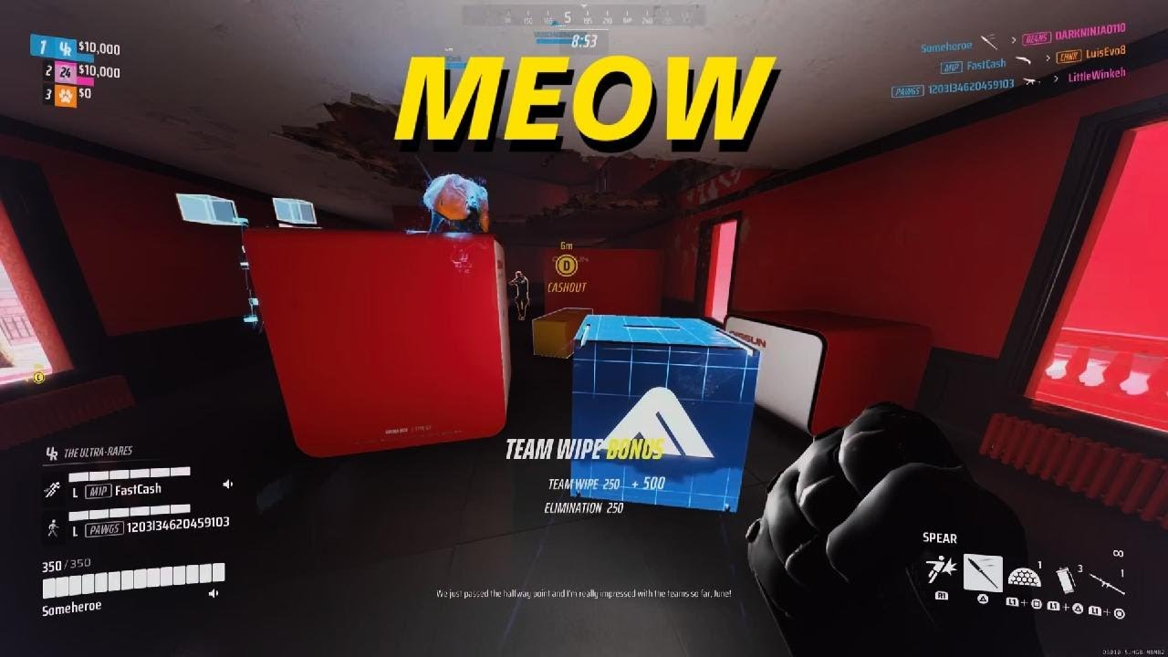 When everyone was meowin