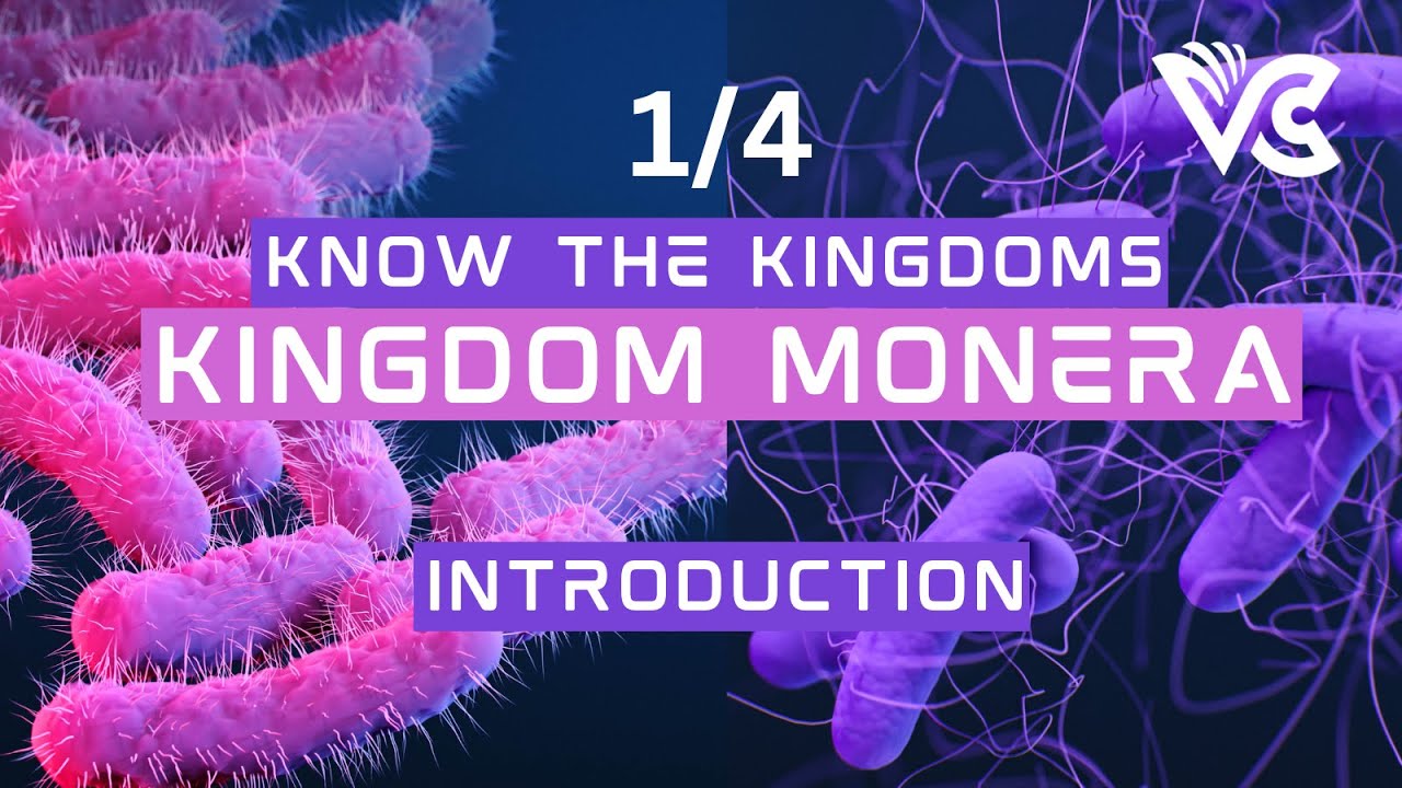 Kingdom Monera