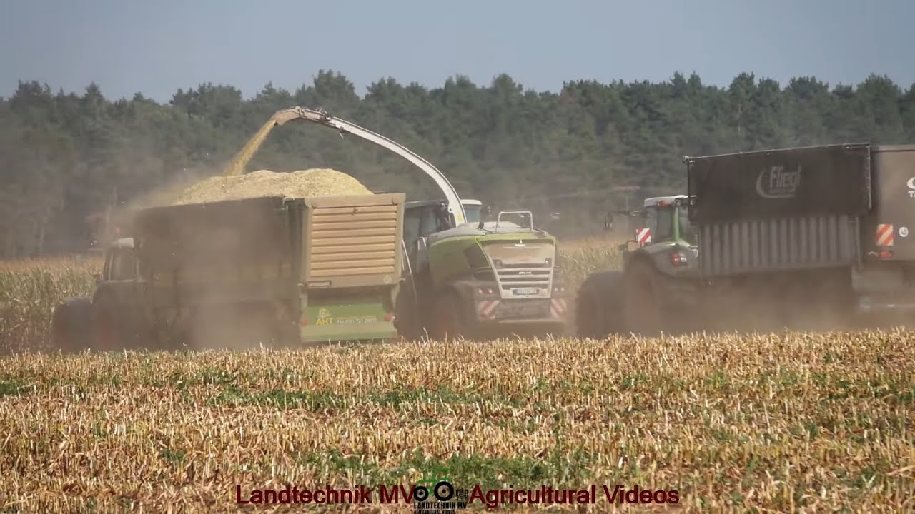 Claas - Fendt - Pisten Bully / Maissilage - Silaging Maize