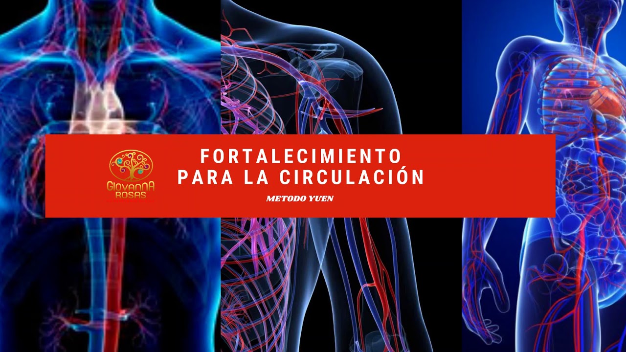 METODO YUEN FORTALECIMIENTO PARA LA CIRCULACIÓN