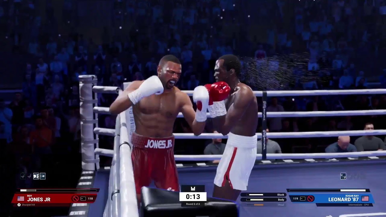Undisputed  Boxing Game