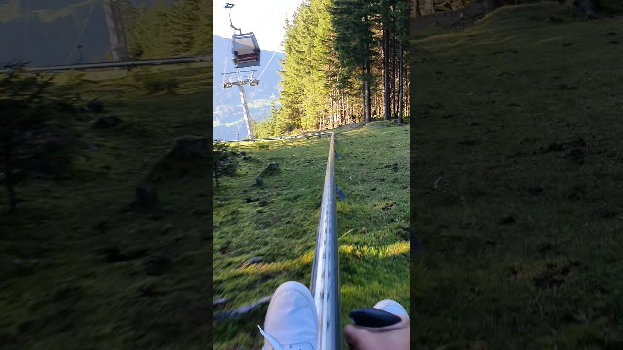 Summer toboggan run #sommerrodelbahn #shorts #adventure #adventureholidays
