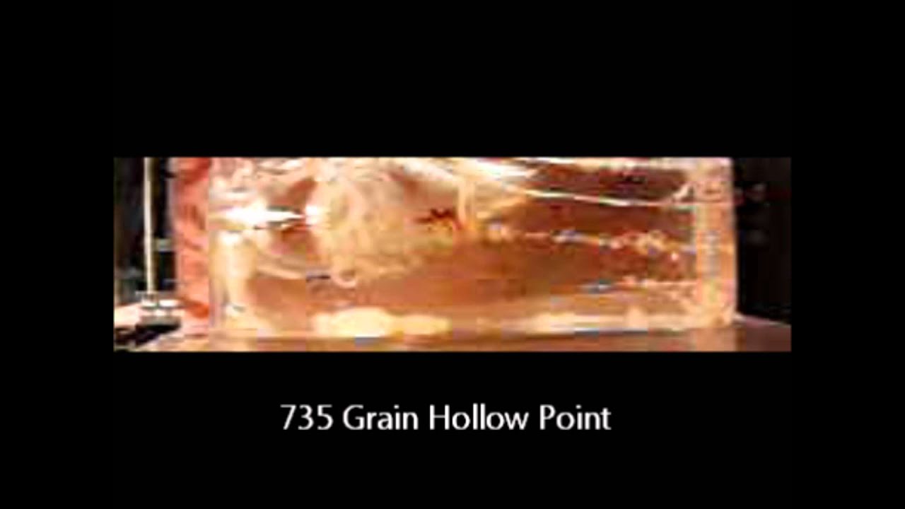 12 Gauge Air Rifle with 900 Grain Hollow Point by Mrhollowpoint