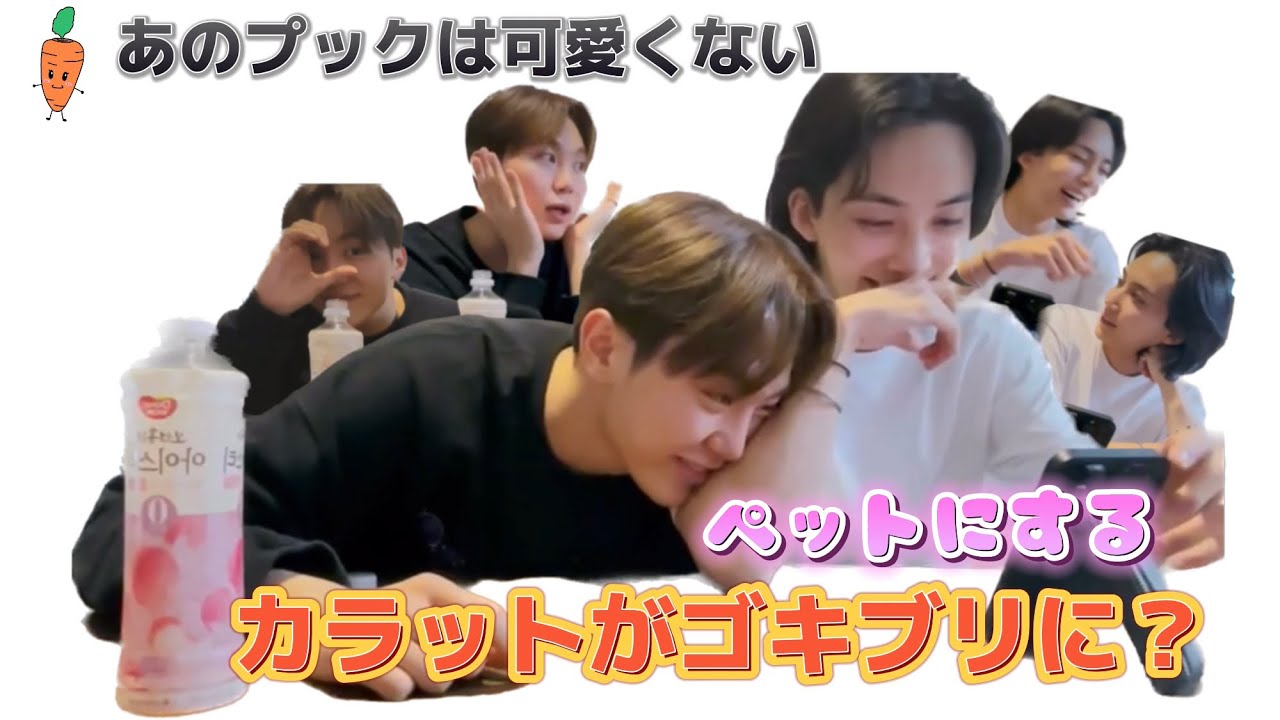 ゴキブリの話が七割のライブ【日本語字幕/セブチ】