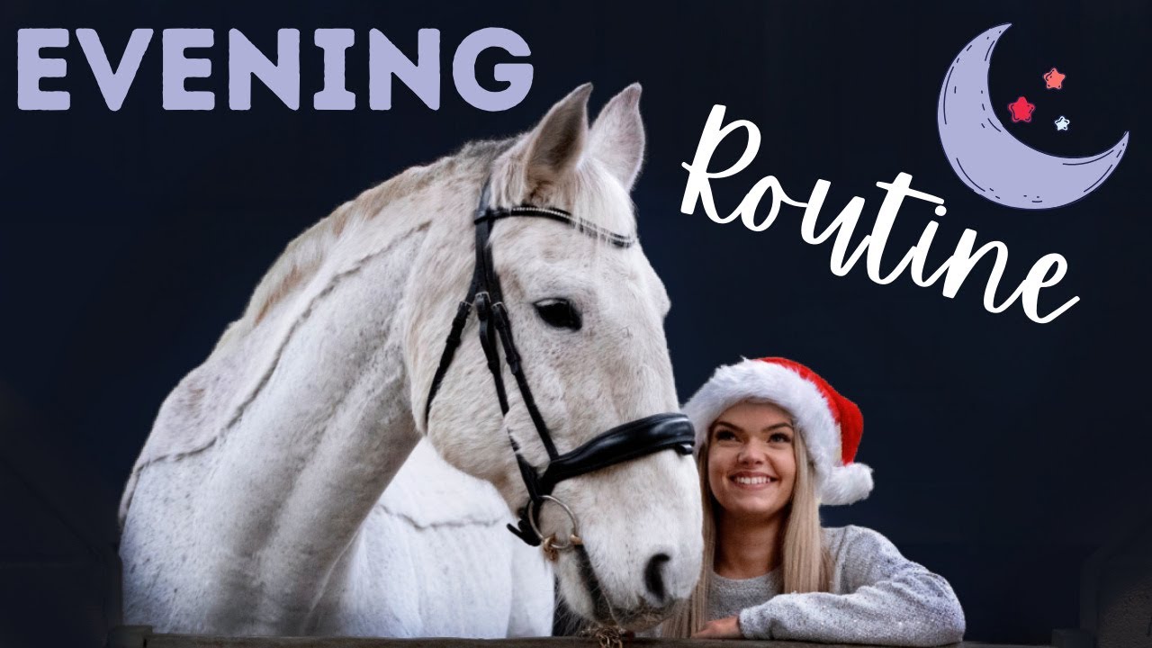 MY HORSES WINTER EVENING ROUTINE ❄️ VLOGMAS DAY 8🎄