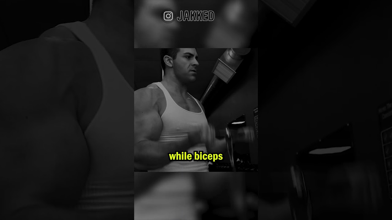 Top 5 Exercises For Biceps!