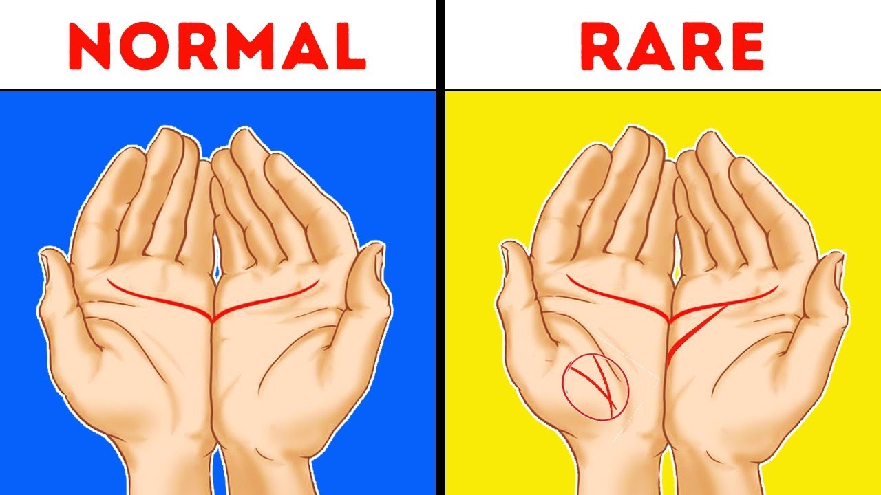 നിങ്ങളുടെ കൈ ✋പറയും നിങ്ങളുടെ 👨സ്വഭാവം..! | What your hands say about your personality..?