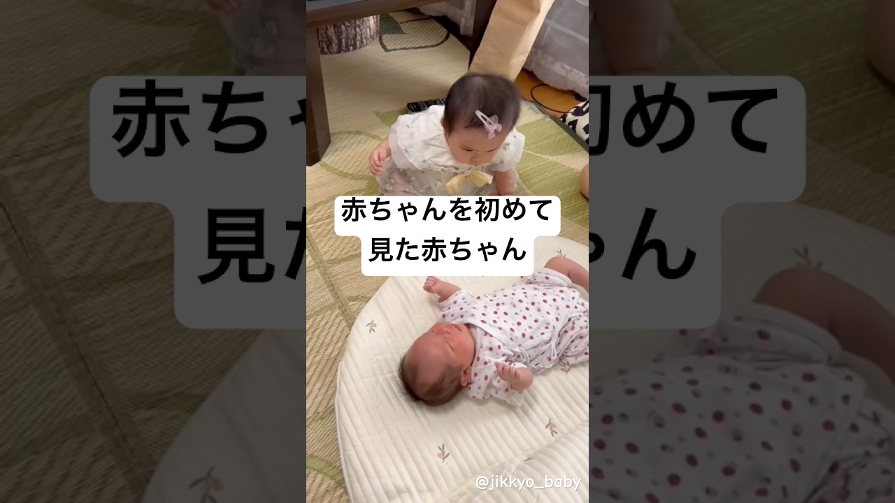 赤ちゃんと赤ちゃんのご対面が可愛すぎる👶 #baby #友達 #0歳 #生後10ヶ月 #新生児 #可愛い