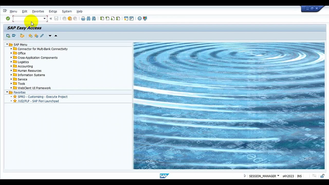 SAP CUSTOMER RETURNS IN SAP EWM