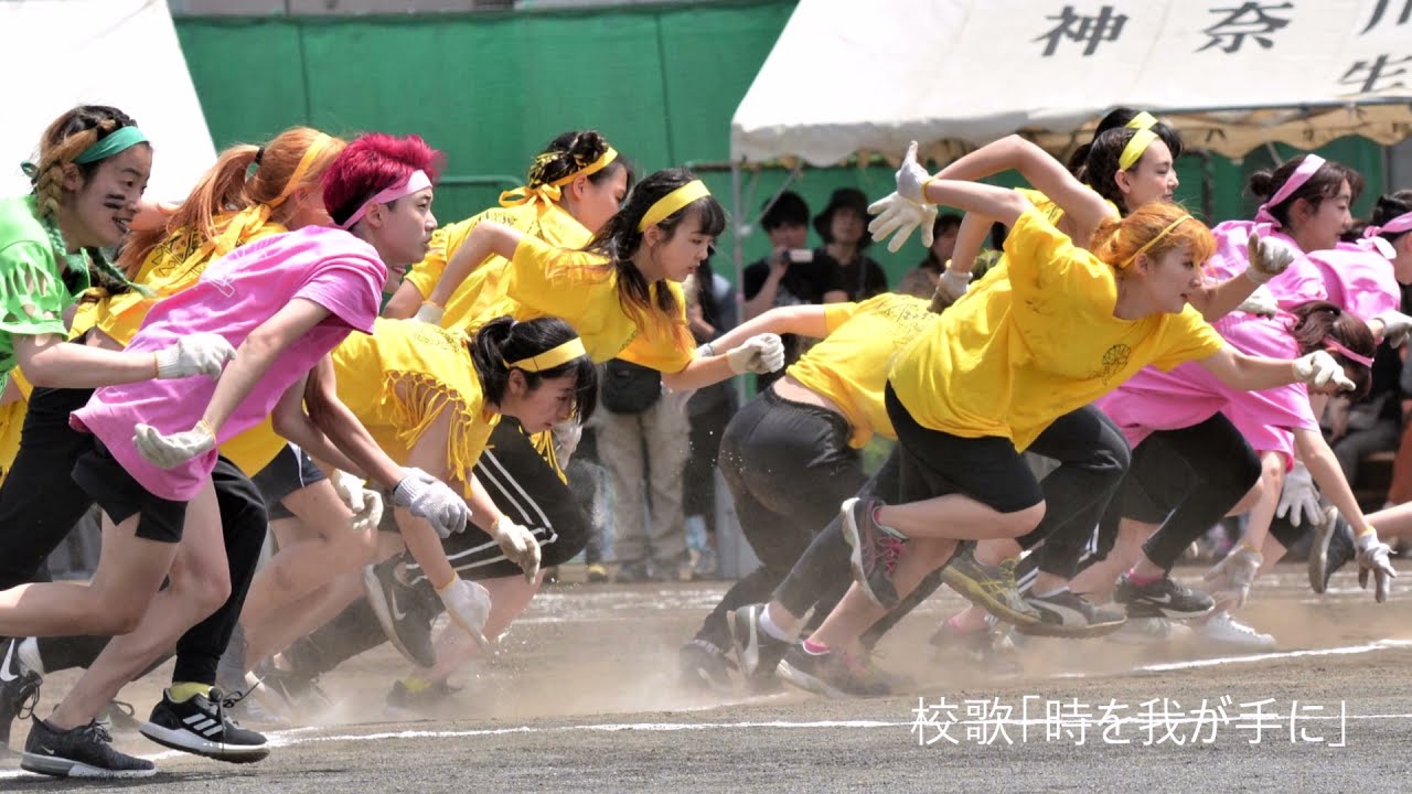 神奈川総合高校紹介