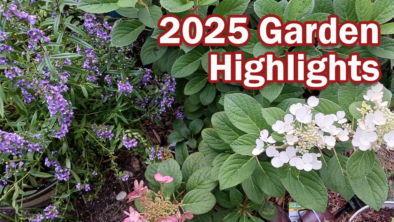 Garden Full Circle | Seedlings to Golden Autumn Harvests! | 2025 Garden in Photos
