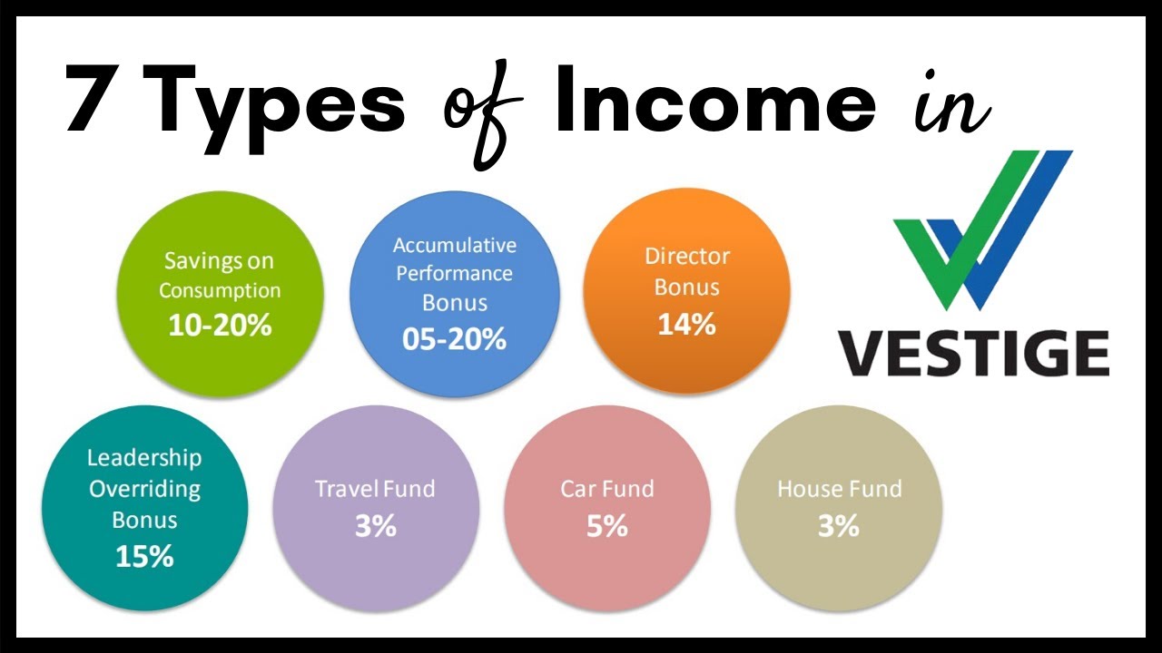 7 Types of Income in VESTIGE (in Hindi) 💰