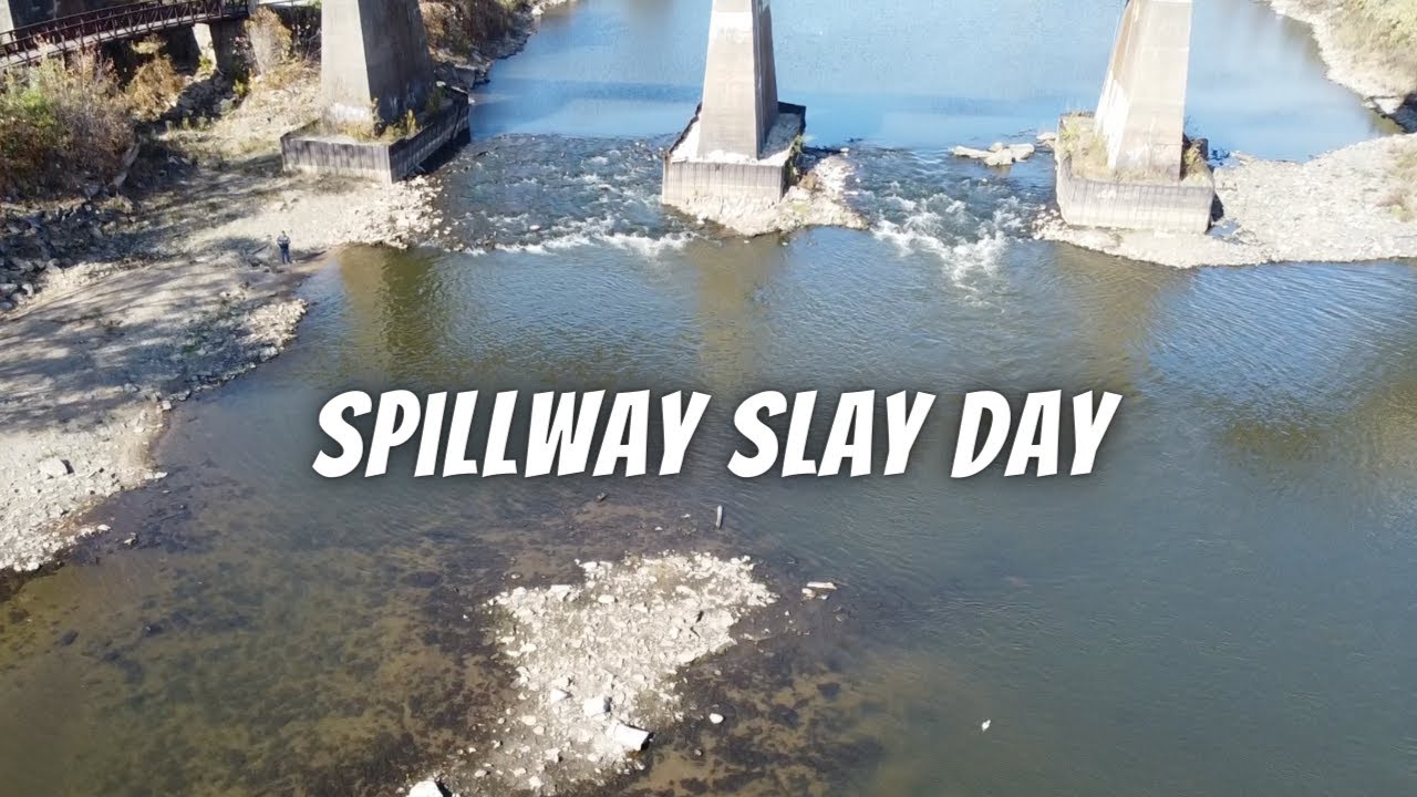 Водосброс включился, и вся рыба начала клевать (рыбалка на многовидовом водосбросе)