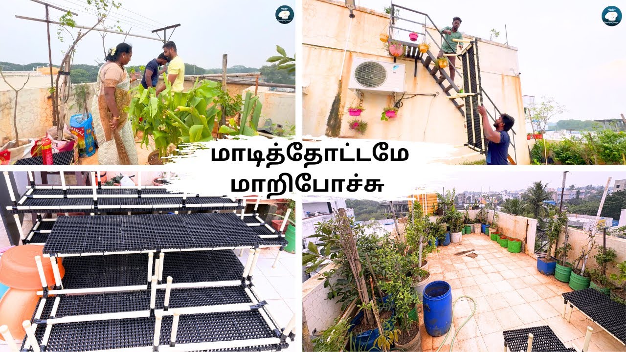 மாடித்தோட்டமே மாறிபோச்சு |இனி எலி தொல்லை இருக்காது|NEW GARDEN ABS STAND ORGANIZING SETUP
