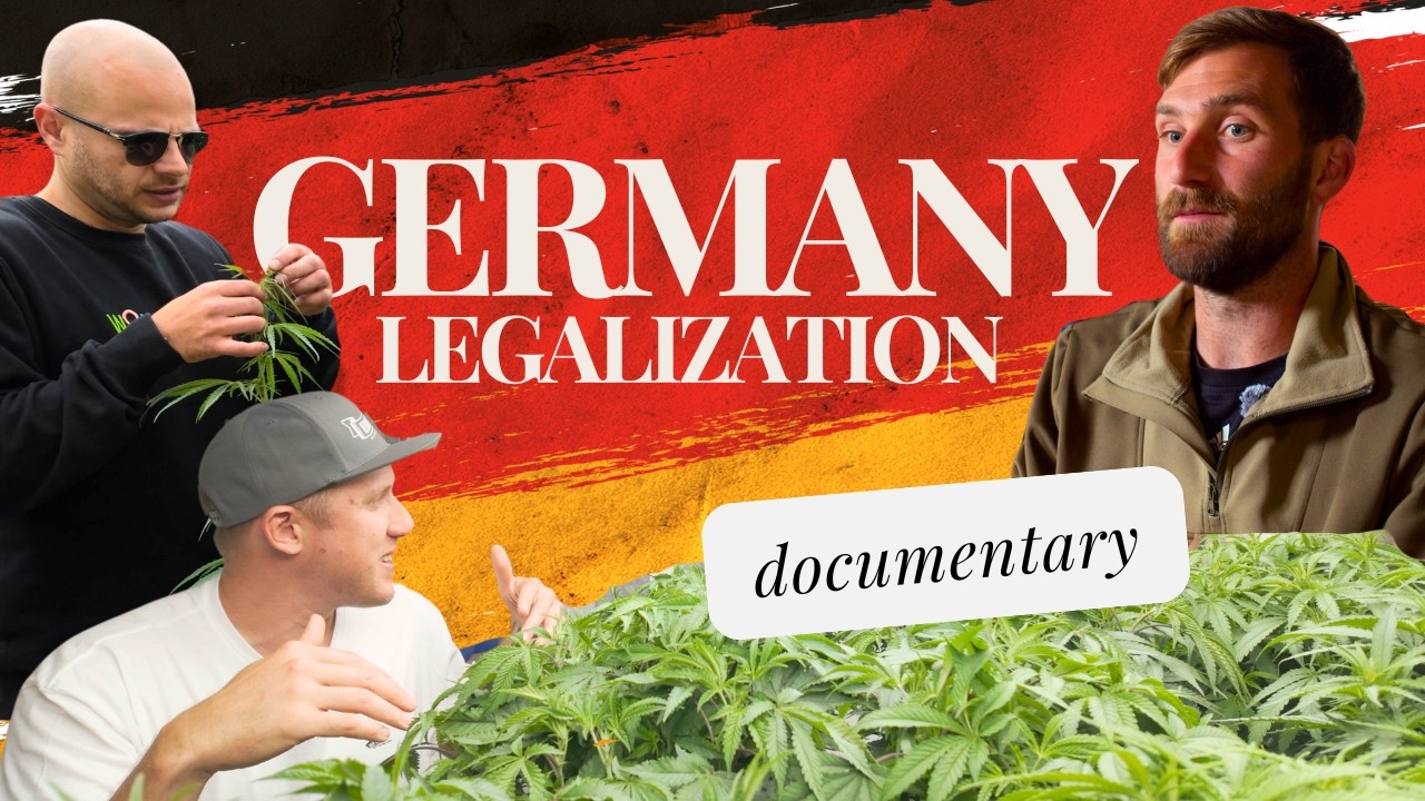 Is Cannabis Legal in Germany? A Deep Dive into Legalization. Pheno Hunting in Germany (Episode #2)