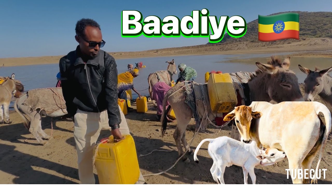 Safarkaygii badiyaha 60km maxad kataqaana nolosha badiyaha 🇪🇹