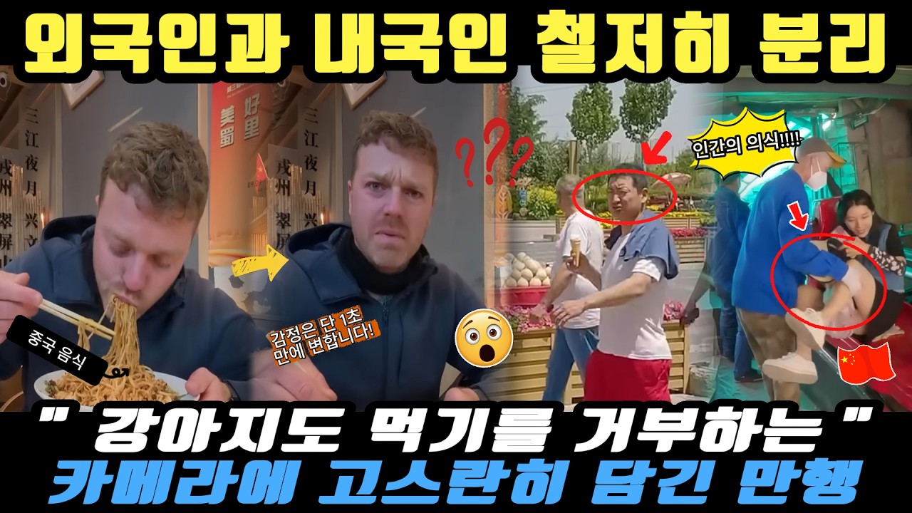 중국반응ㅣ개도 거르는 화학 음식에 24시간 안면인식까지… 외국인이 경악한 기이한 중국 🚨