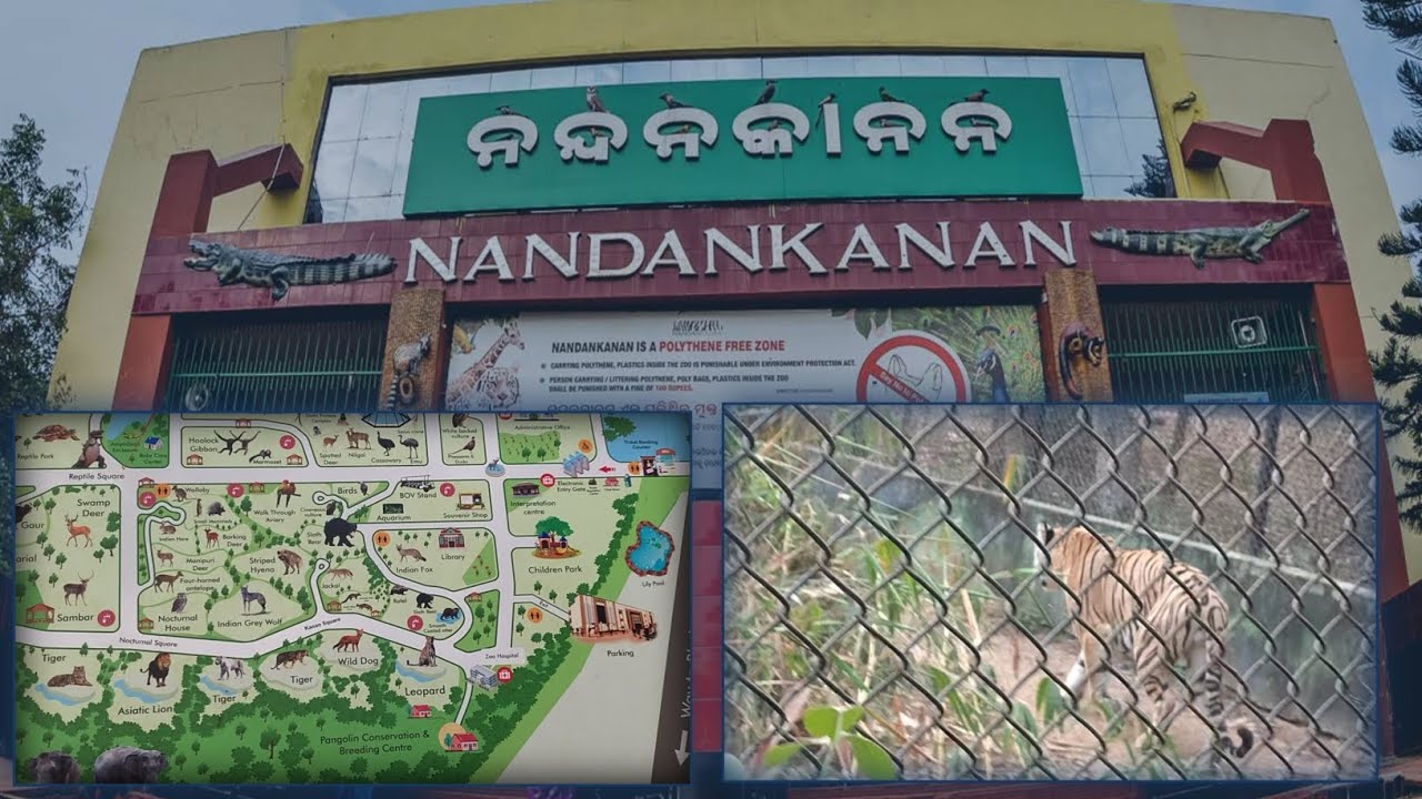 NANDANKANAN || ନନ୍ଦନକାନନ ଭୁବନେଶ୍ୱର ପୁରୀ #minivlog #vlog #bhubaneswara 