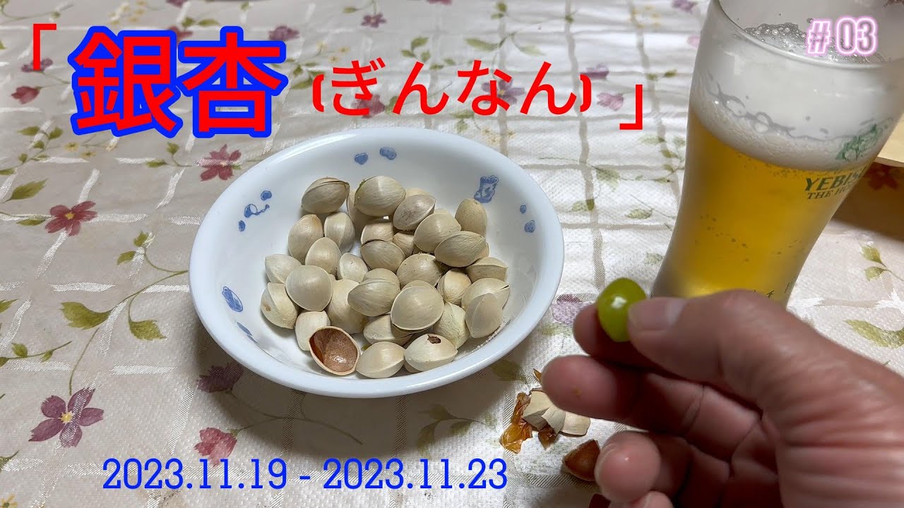 銀杏を洗いました