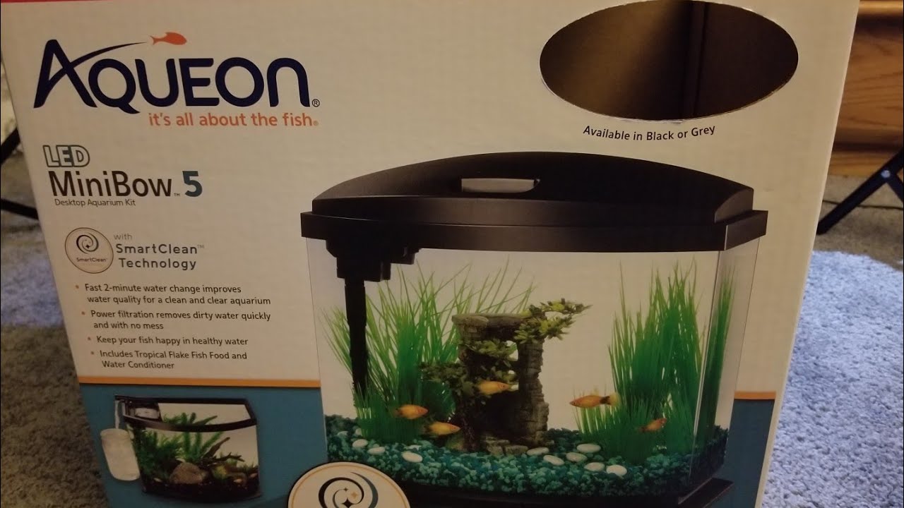Aqueon mini bow 5 smart clean unboxing