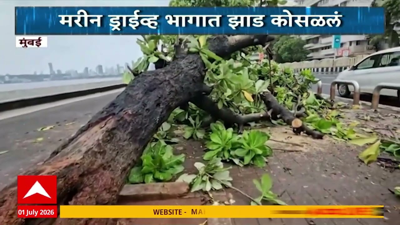 Mumbai Marine Drive : मुंबईत मुसळधार पावसाची संततधार; मरीन ड्राईव्ह परिसरात झाड कोसळले!