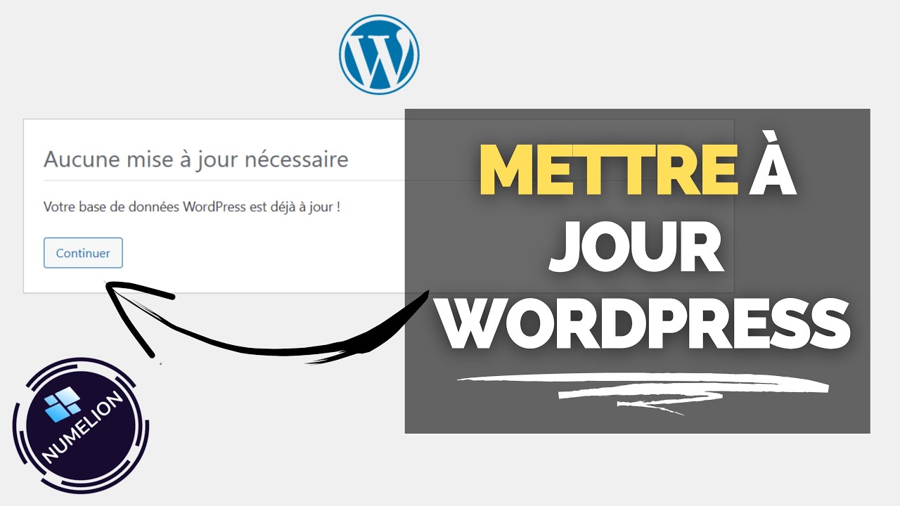 Mettre à Jour WordPress Efficacement 🌐 [Plugin, Thème & Version] 🌐