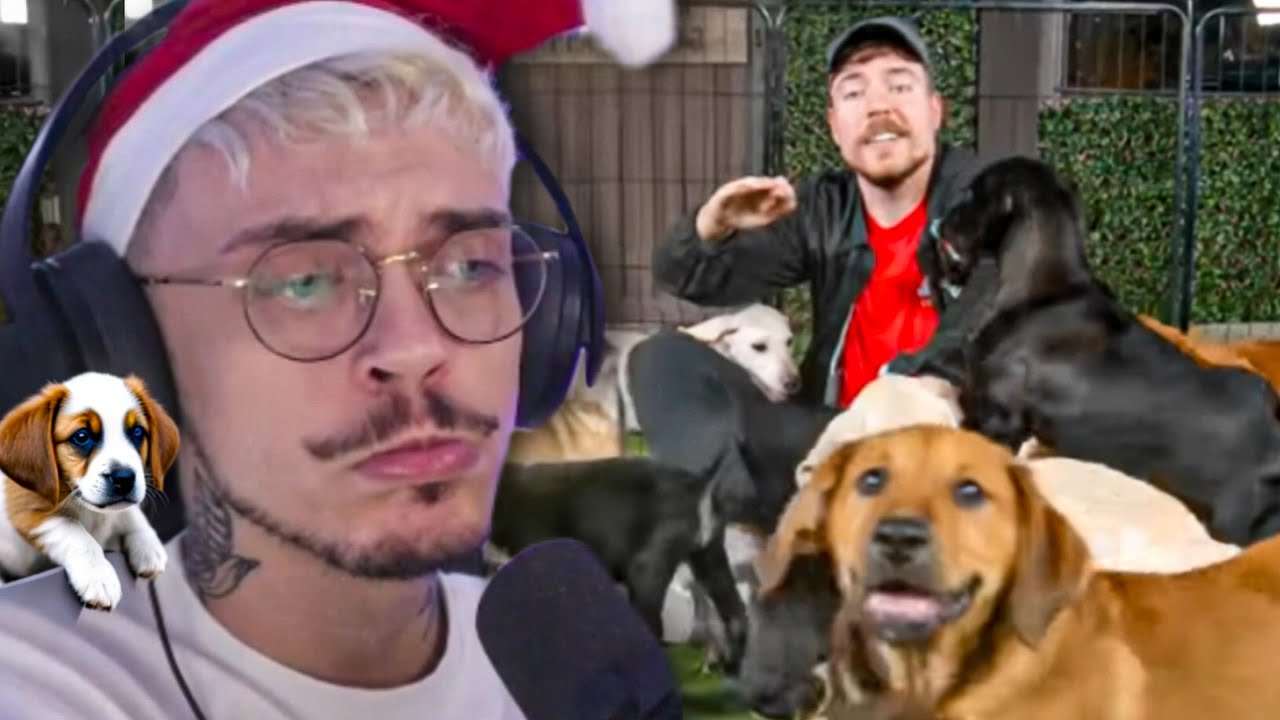 ele RESGATOU 100 doguinhos ABANDONADOS