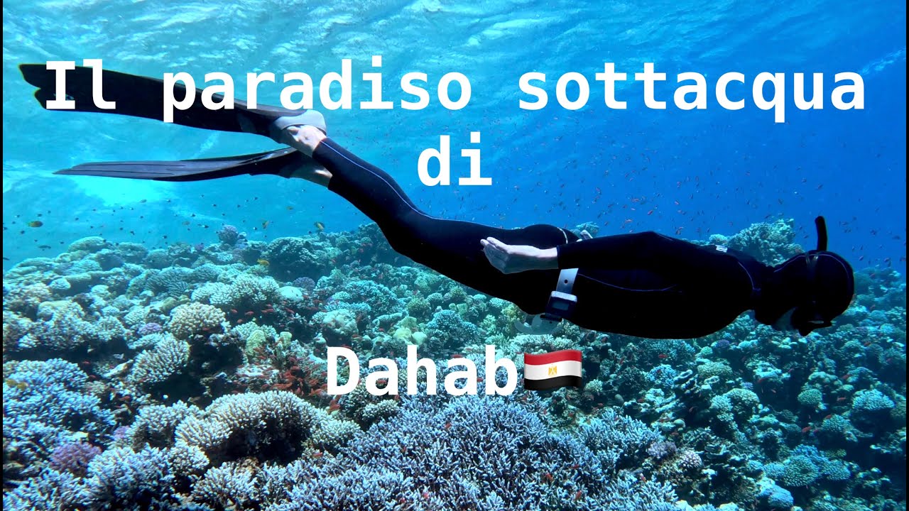 Freediving nel Mar Rosso a Dahab #freediving #redsea