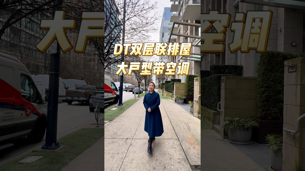 DT双层联排屋大户型带空调