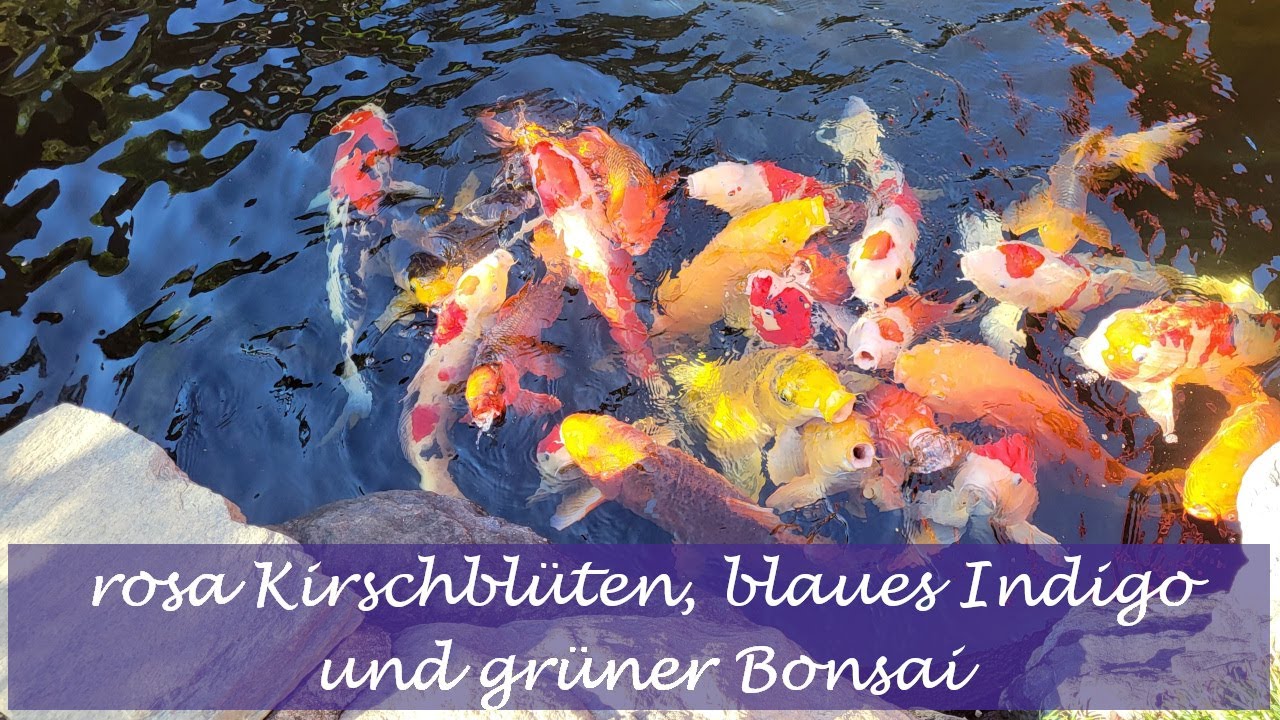 Fraulitzj - ein wolliger Strickpodcast aus Japan #37