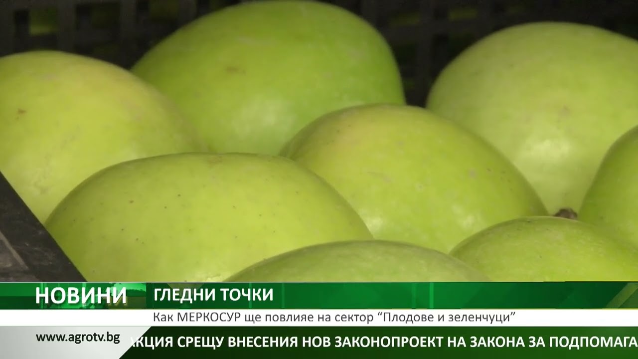 ГЛЕДНИ ТОЧКИ: Как МЕРКОСУР ще повлияе на сектор “Плодове и зеленчуци”
