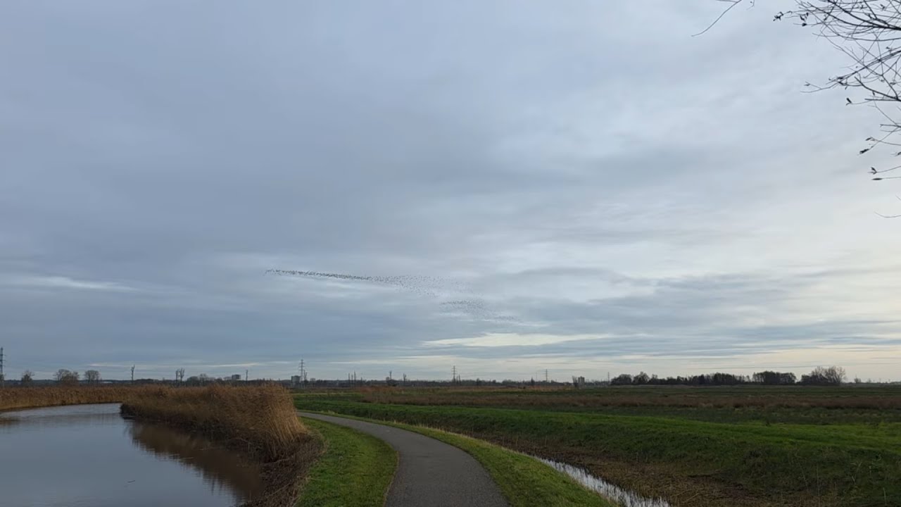 Wandelen langs Bisschop Davidsgrift - @BennekominBeeld -