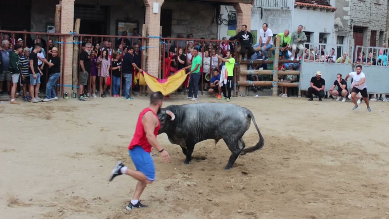 HINOJOSA DE SAN VICENTE *Capea y recortes 16 septiembre 2023*