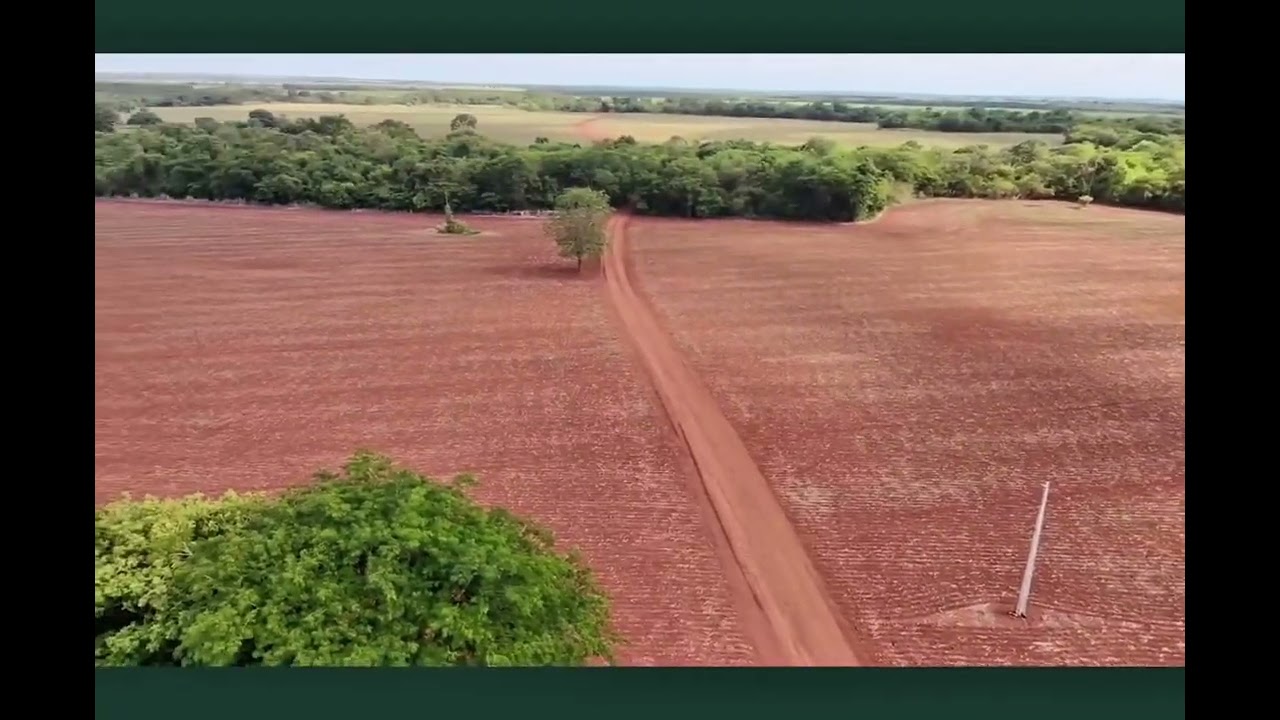 FAZENDA POMBAS À VENDA – VICENTINÓPOLIS (GO) 🚨🏡