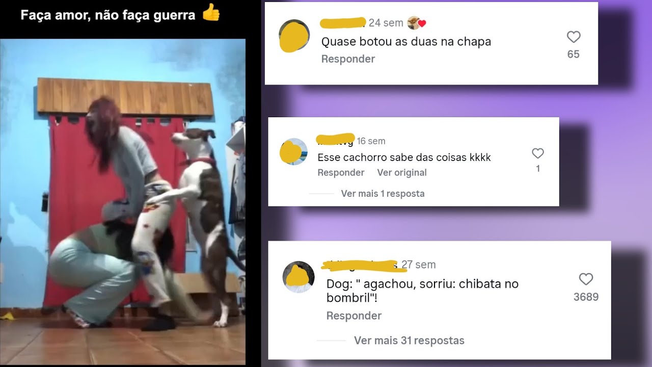 Esse Doguinho tá na safadeza kkk | Comentários SAFADOS do Instagram