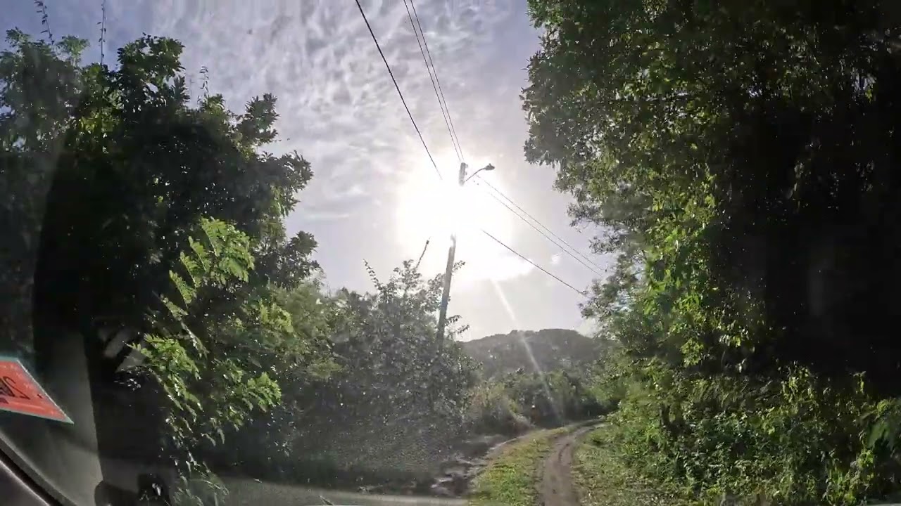 Our Last Day In St.Vincent & the Grenadines 